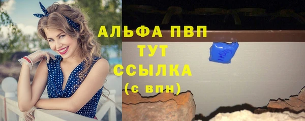 молекула духа Вязьма